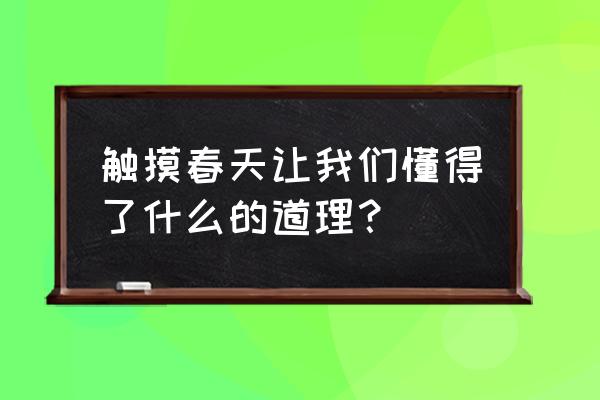 触摸春天的含义 触摸春天让我们懂得了什么的道理？