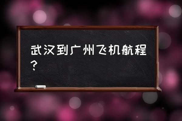 武汉到广州飞机 武汉到广州飞机航程？