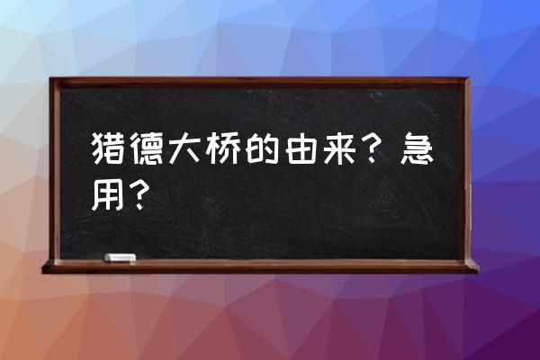 猎德大桥发生什么了 猎德大桥的由来？急用？