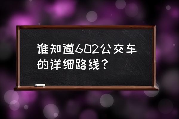 602公交车站的线路 谁知道602公交车的详细路线？